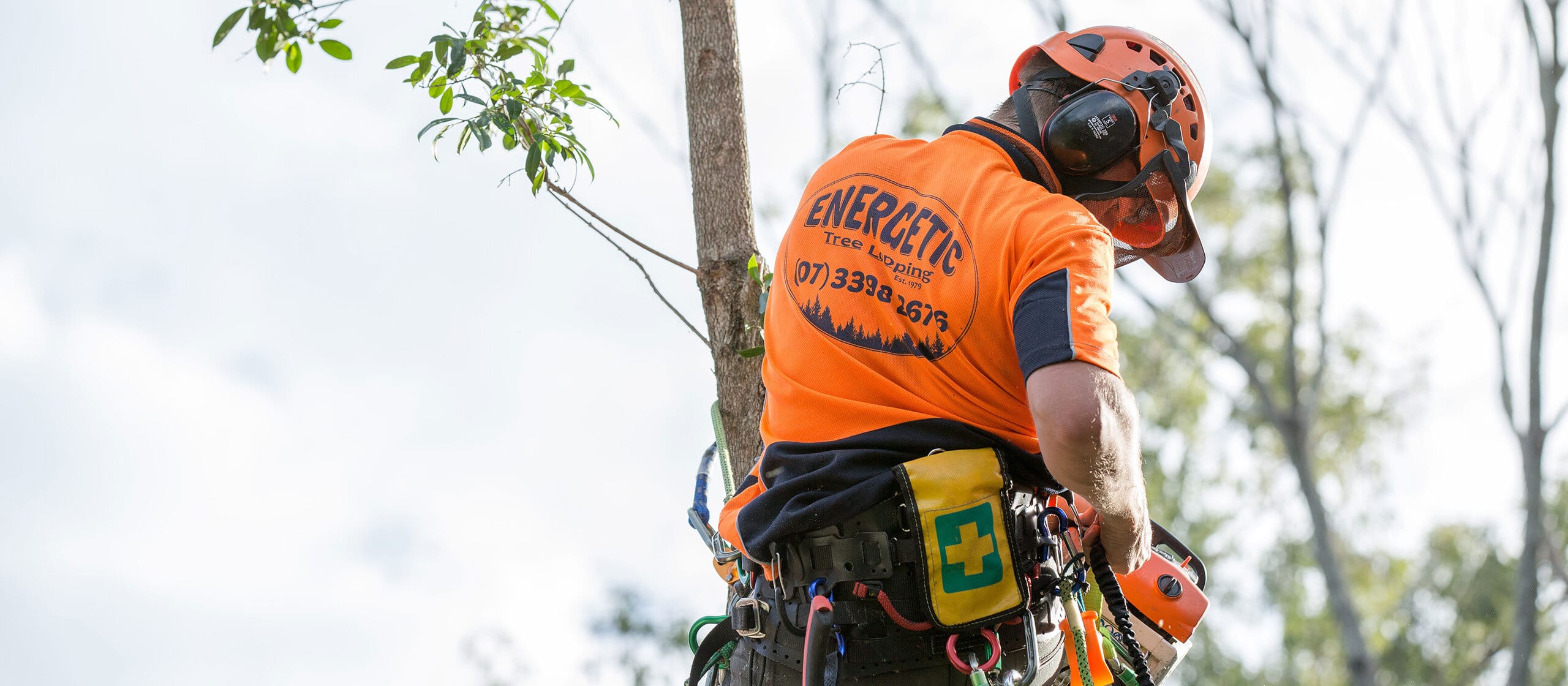 Arborist Brisbane